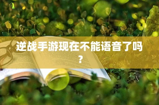 逆战手游现在不能语音了吗？