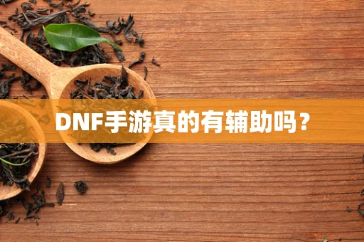 DNF手游真的有辅助吗？