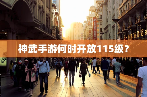 神武手游何时开放115级？