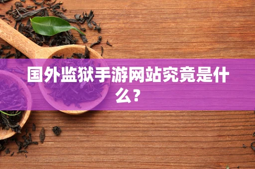 国外监狱手游网站究竟是什么？