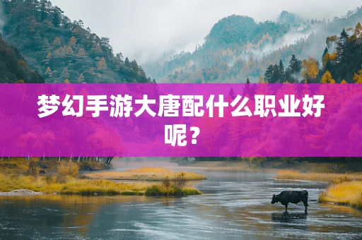 梦幻手游大唐配什么职业好呢？