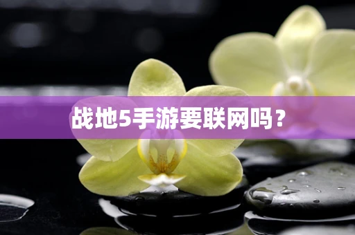 战地5手游要联网吗？
