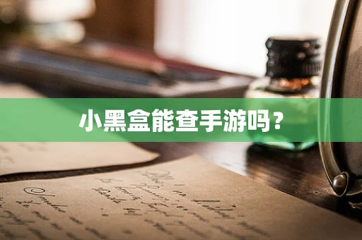小黑盒能查手游吗？