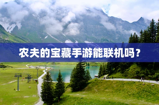 农夫的宝藏手游能联机吗？