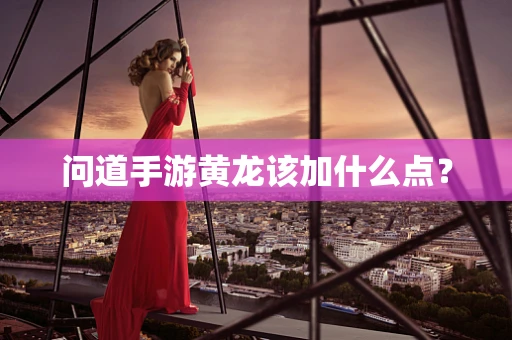 问道手游黄龙该加什么点？
