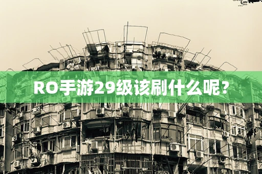 RO手游29级该刷什么呢？