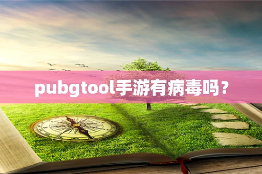 pubgtool手游有病毒吗？