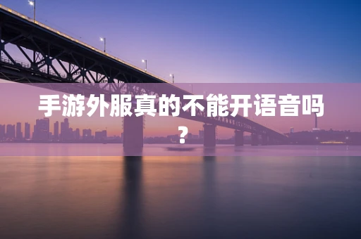 手游外服真的不能开语音吗？