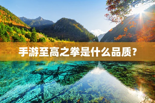 手游至高之拳是什么品质？