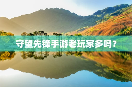守望先锋手游老玩家多吗？