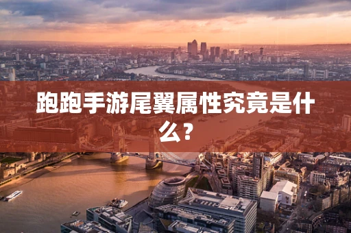 跑跑手游尾翼属性究竟是什么？