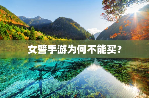 女警手游为何不能买？