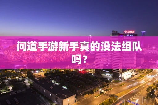 问道手游新手真的没法组队吗？