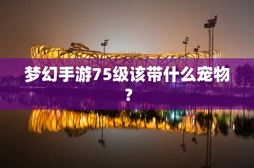 梦幻手游75级该带什么宠物？