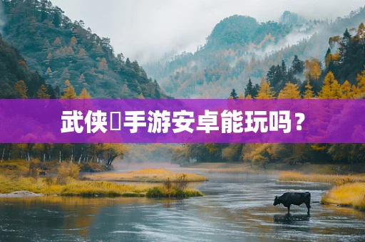 武侠乂手游安卓能玩吗？