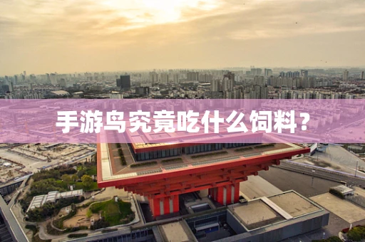 手游鸟究竟吃什么饲料？