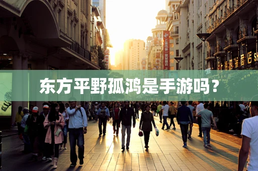 东方平野孤鸿是手游吗？