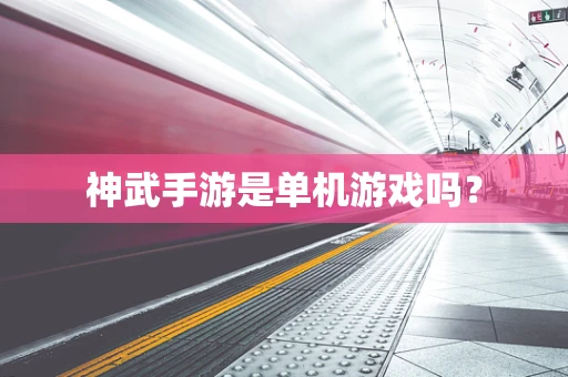 神武手游是单机游戏吗？