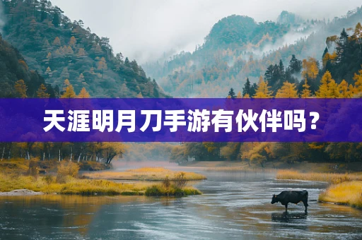 天涯明月刀手游有伙伴吗？