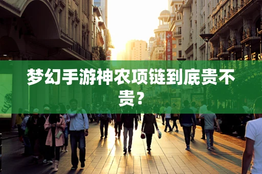 梦幻手游神农项链到底贵不贵？