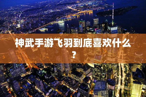 神武手游飞羽到底喜欢什么？