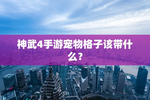 神武4手游宠物格子该带什么？