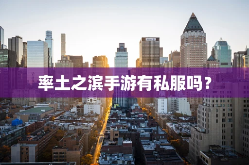 率土之滨手游有私服吗？