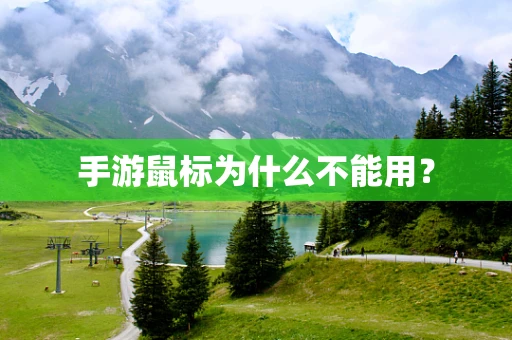 手游鼠标为什么不能用？