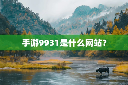 手游9931是什么网站？