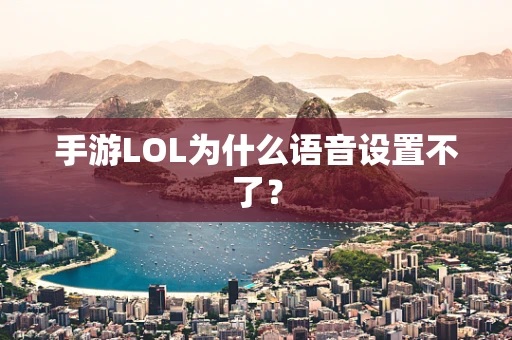 手游LOL为什么语音设置不了？