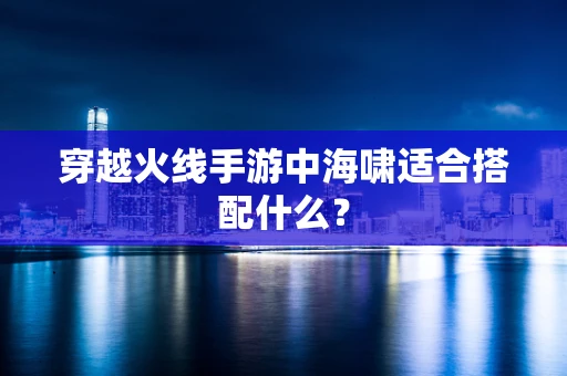 穿越火线手游中海啸适合搭配什么？