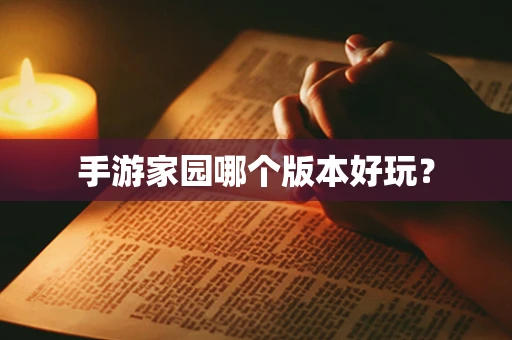 手游家园哪个版本好玩？