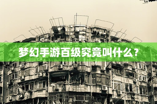 梦幻手游百级究竟叫什么？