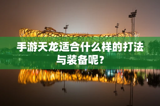 手游天龙适合什么样的打法与装备呢？