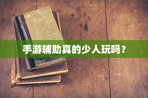 手游辅助真的少人玩吗？