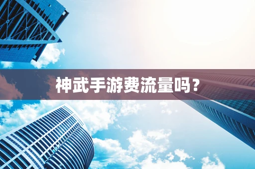 神武手游费流量吗？