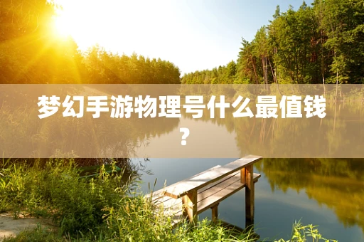 梦幻手游物理号什么最值钱？