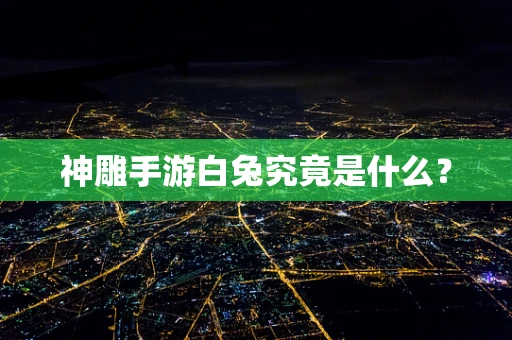 神雕手游白兔究竟是什么？