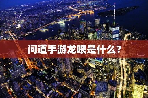 问道手游龙喂是什么？