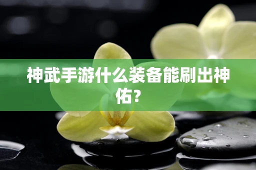神武手游什么装备能刷出神佑？