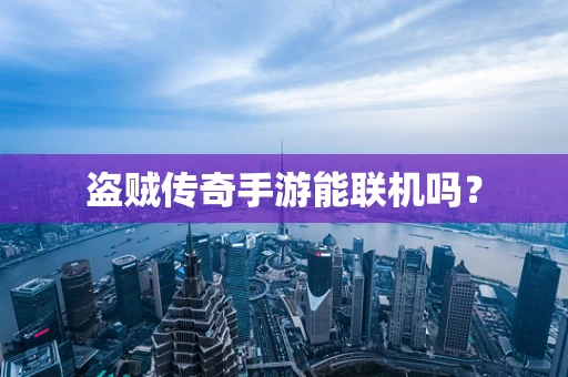 盗贼传奇手游能联机吗？