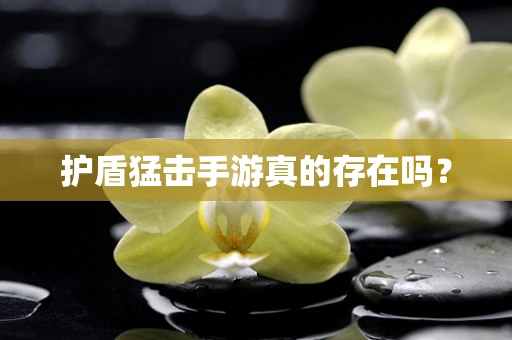 护盾猛击手游真的存在吗？