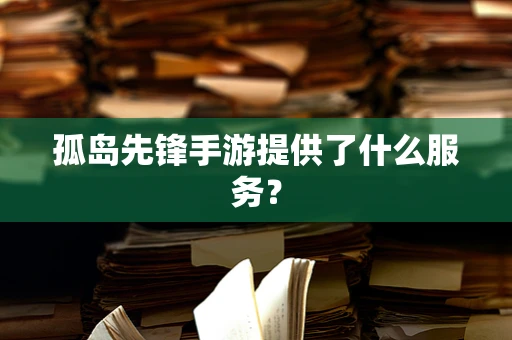 孤岛先锋手游提供了什么服务？
