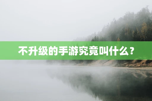 不升级的手游究竟叫什么？