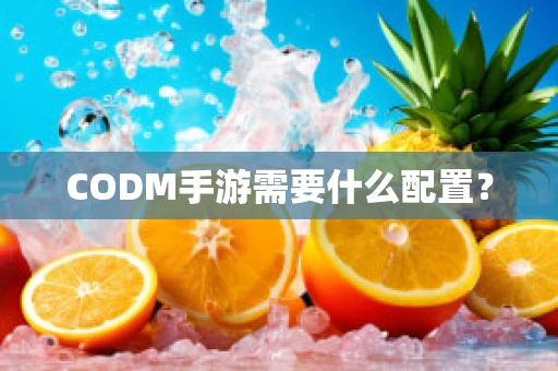 CODM手游需要什么配置？