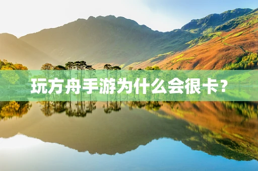 玩方舟手游为什么会很卡？