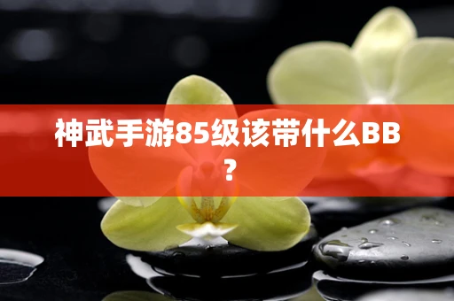 神武手游85级该带什么BB？