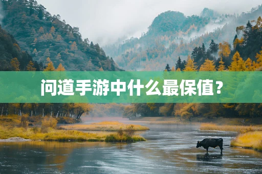 问道手游中什么最保值？