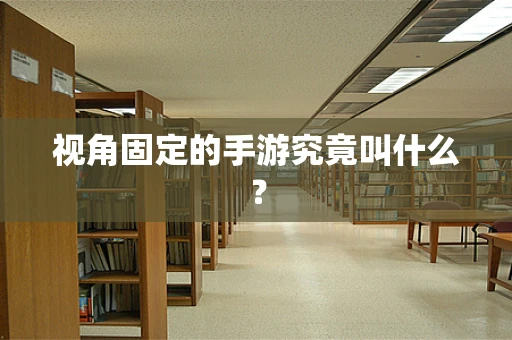 视角固定的手游究竟叫什么？
