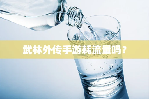 武林外传手游耗流量吗？